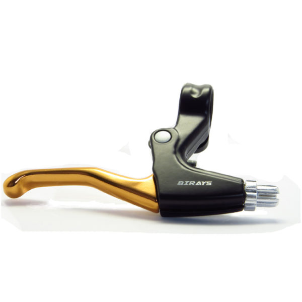 BBRA5-023 golden